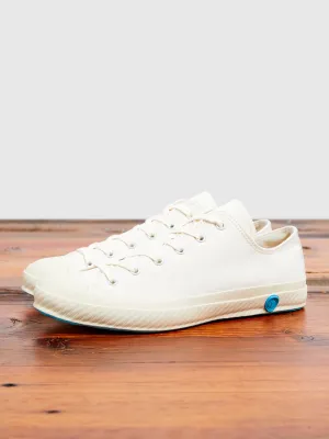 01JP Low Top Sneaker in White