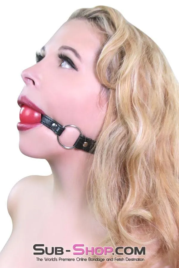 7876DL      Easy Come Red Bondage Ballgag - MEGA Deal