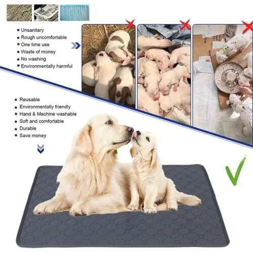 Absorbent Washable Pet Pee Pad, Leakproof, 70X50cm, Reusable