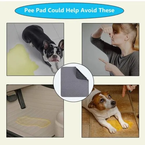 Absorbent Washable Pet Pee Pad, Leakproof, 70X50cm, Reusable